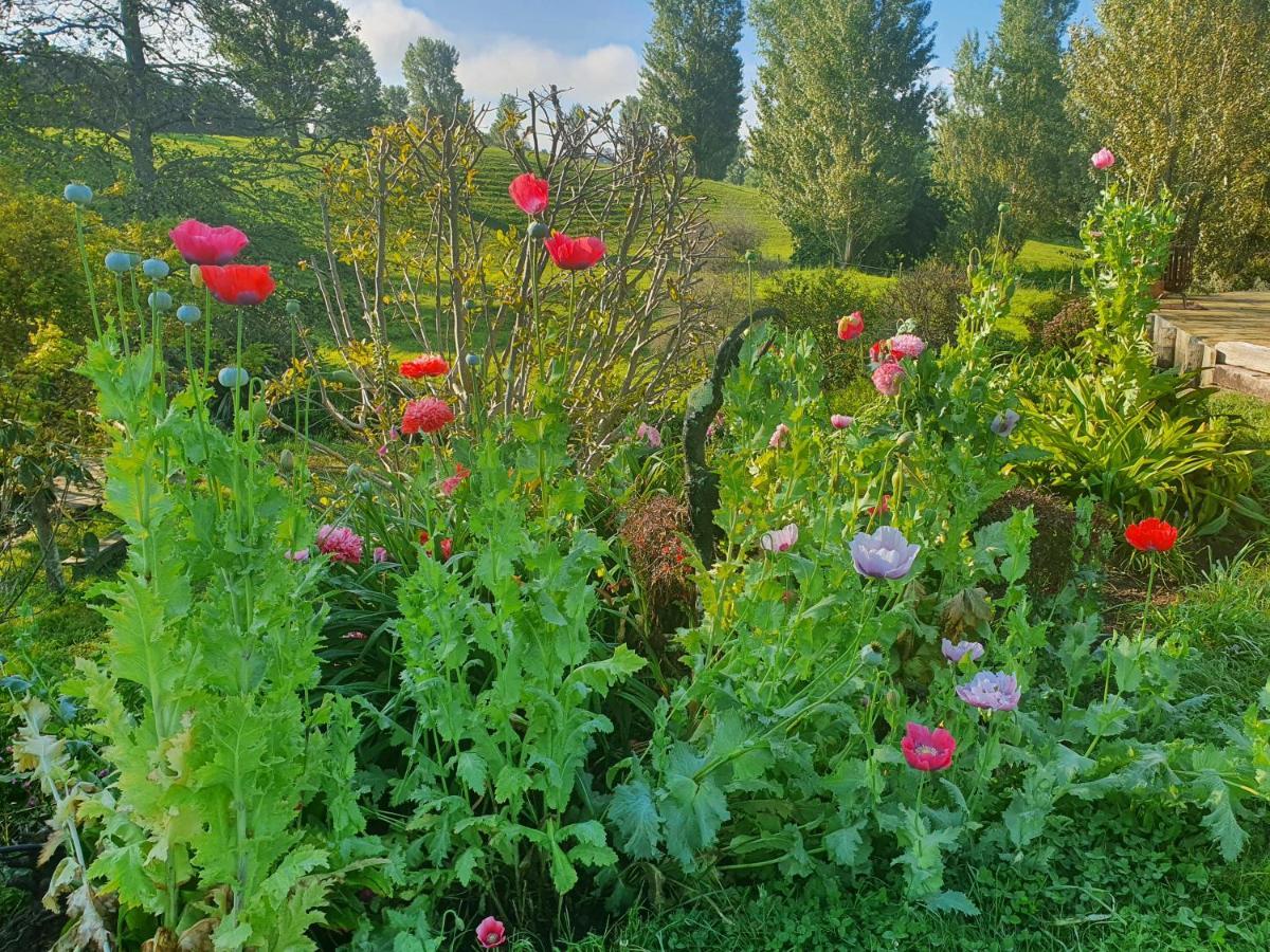 Streamside Country Manor Bed & Breakfast Walton ภายนอก รูปภาพ